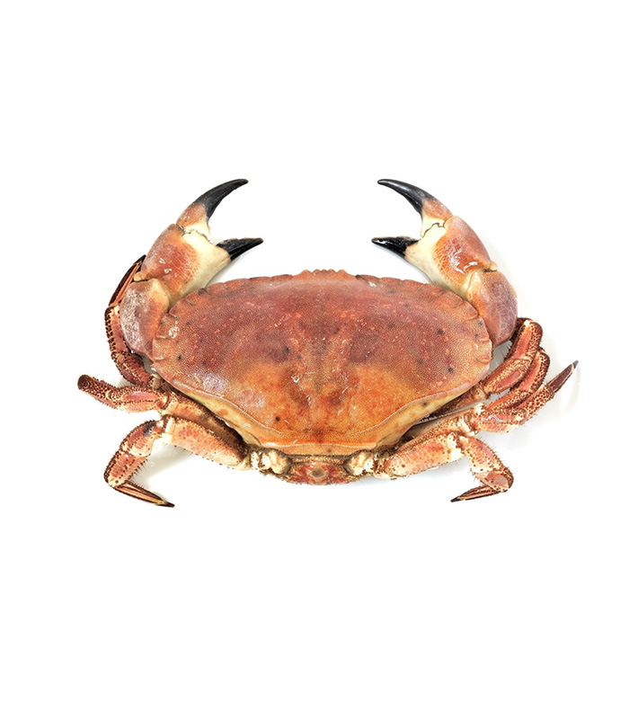 vg-sf-frshs-3.jpg Cornish Crab (Whole) - Зображення 1