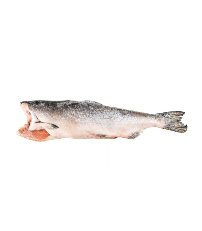 vg-sf-frzf-4.jpg Pink (Hump-Back) Salmon - Зображення 1
